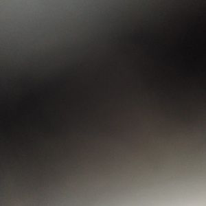 Meet your Posher, Millie